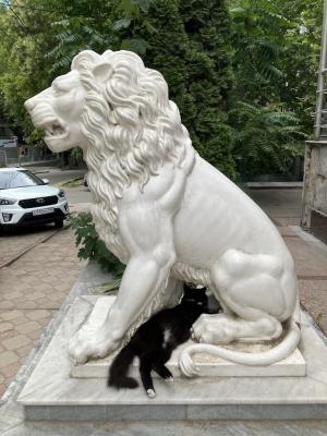 Прикрепленное изображение: IMG_6403.jpeg